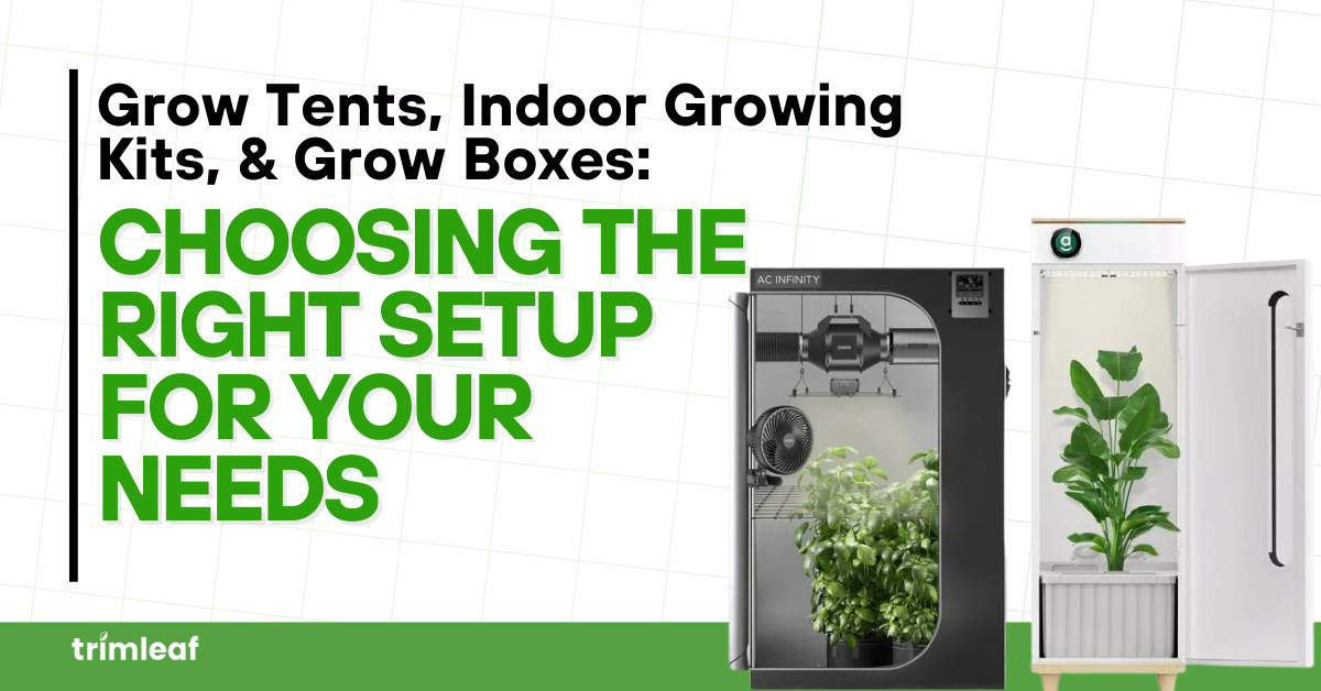 Fridge Grow Box: Your Guide to Indoor Gardening Excellence () Fridge Grow Box: Your Guide to Indoor Gardening Excellence