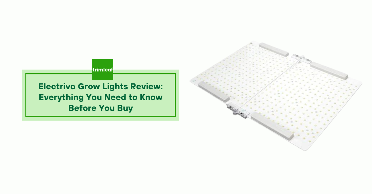 Electrivo Grow Lights Review: Everything You Need to Know Before You Buy