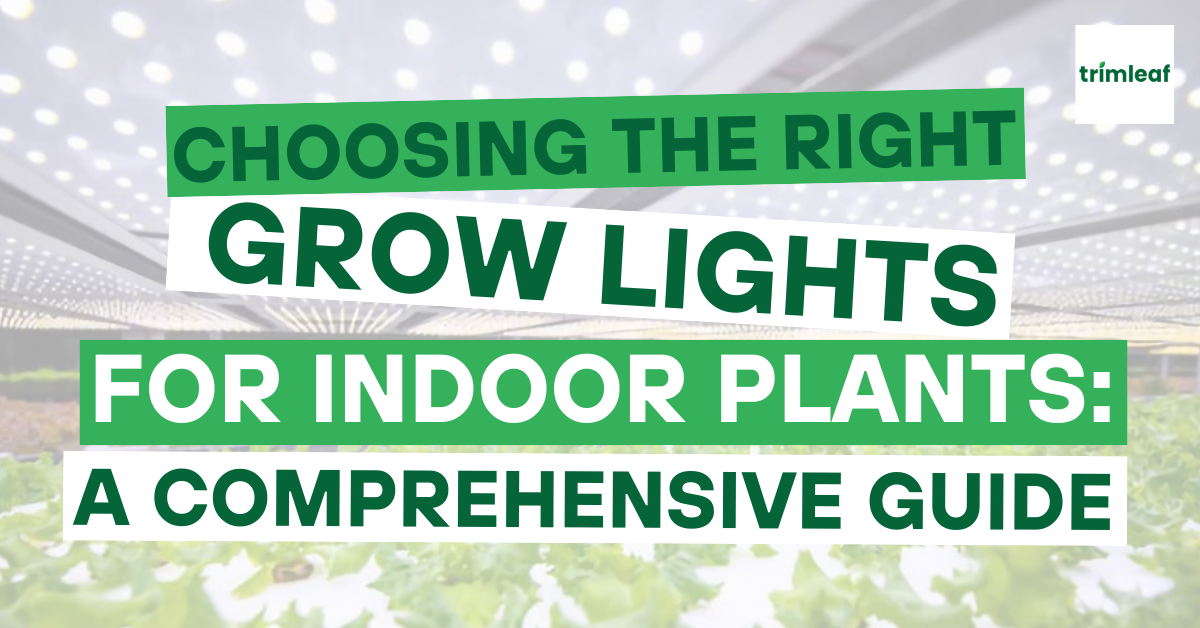 Choosing the Right Grow Lights for Indoor Plants: A Comprehensive Guide