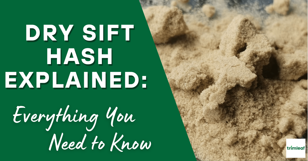 Dry Sift Hash Explained Everything You Need to Know