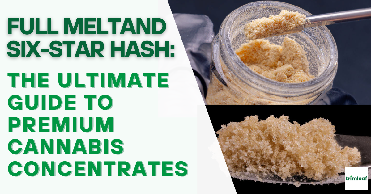 Full Melt and Six-Star Hash: The Ultimate Guide to Premium Cannabis Co
