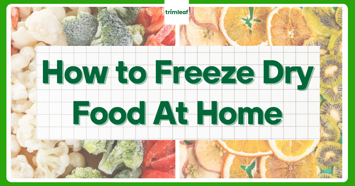 How to Freeze Dry Food At Home