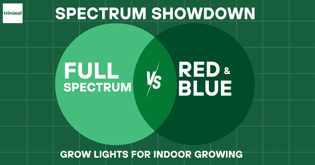 Red and blue spectrum 2025