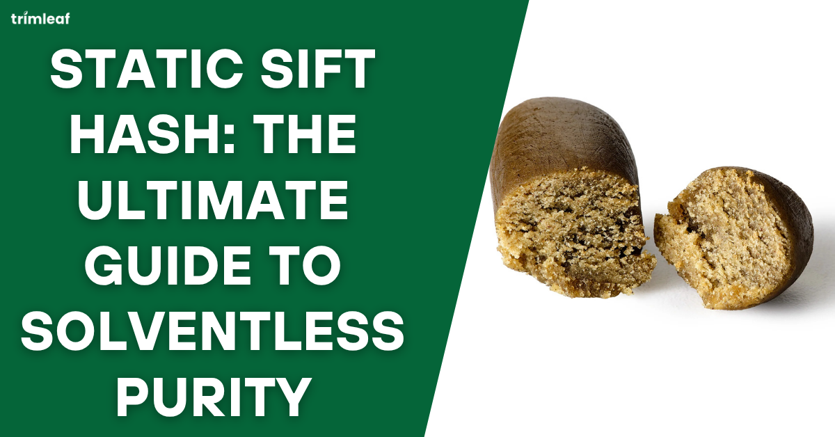 Static Sift Hash The Ultimate Guide to Solventless Purity