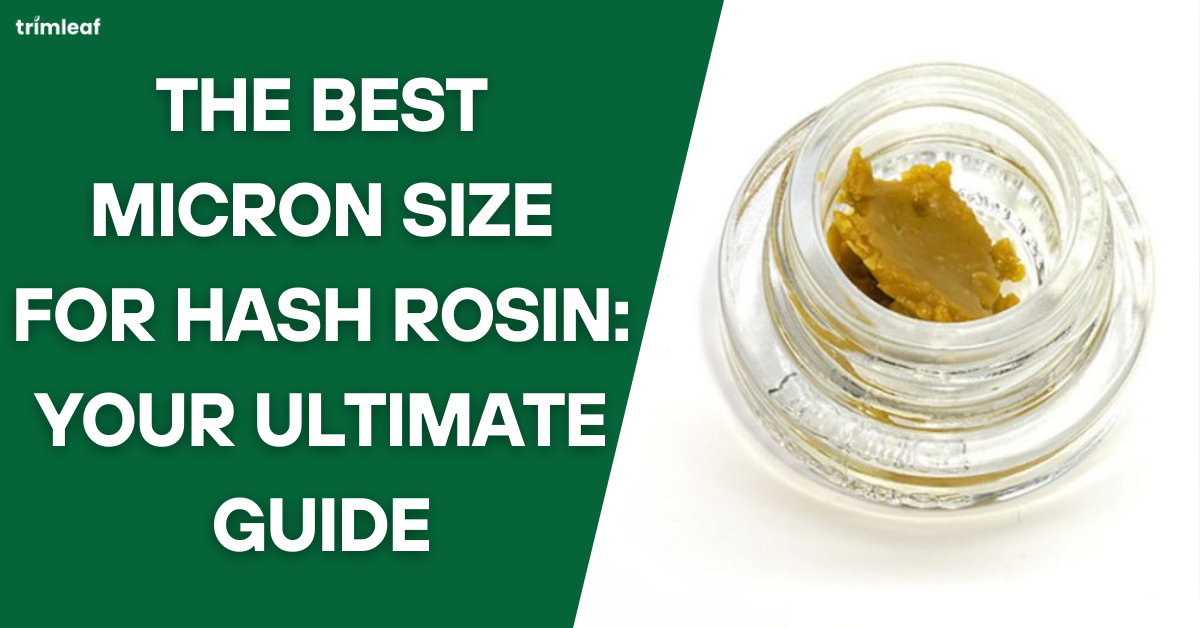 The Best Micron Size for Hash Rosin Your Ultimate Guide