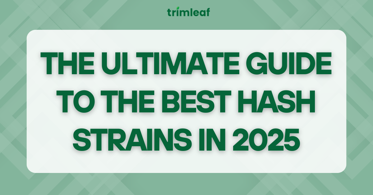 The Ultimate Guide to the Best Hash Strains in 2025