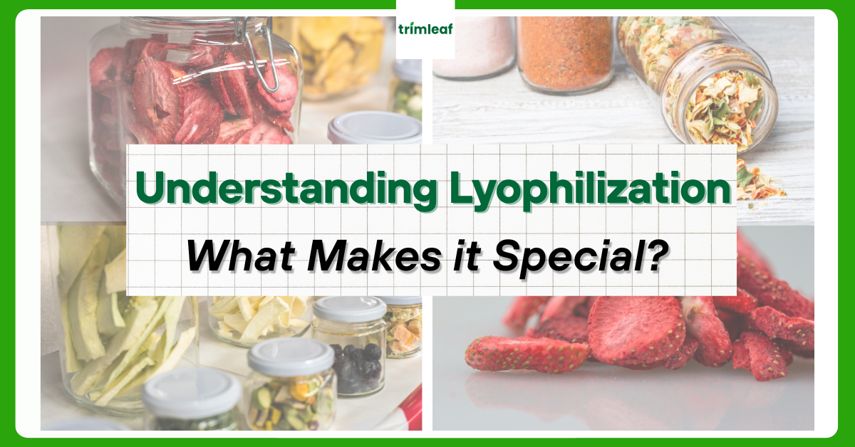 Understanding Lyophilization: What Makes it Special?