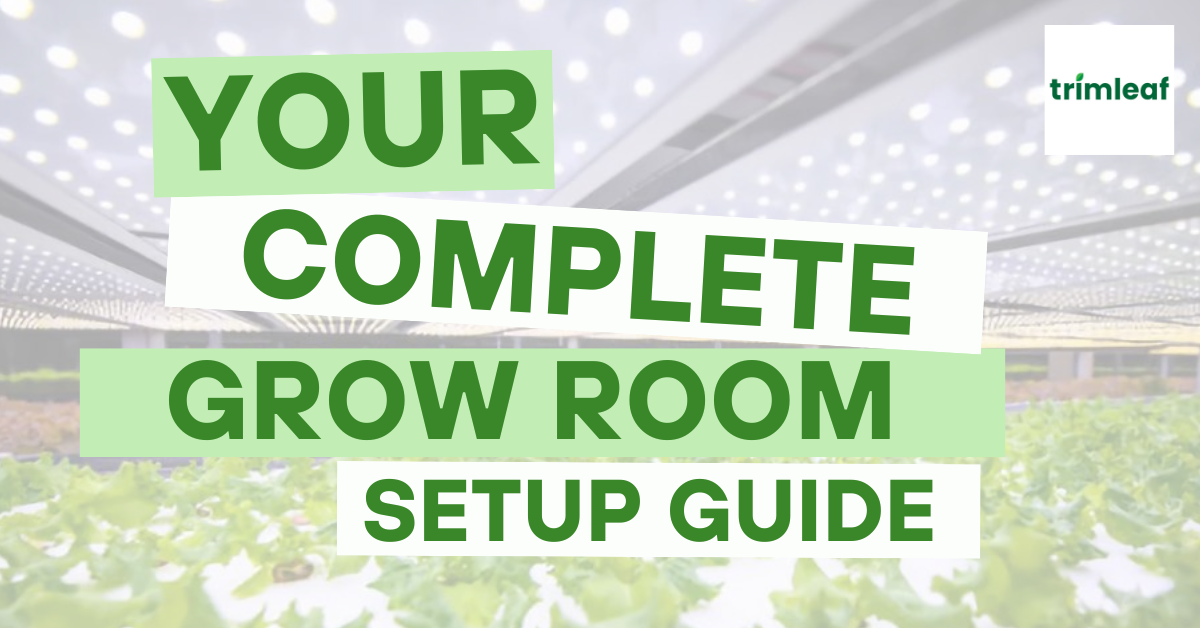 Your Complete Grow Room Setup Guide