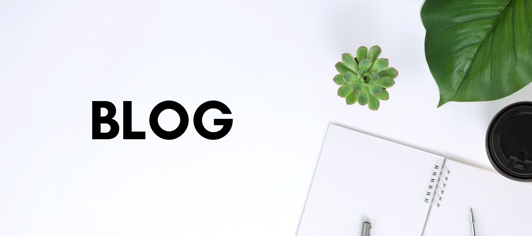 Blog