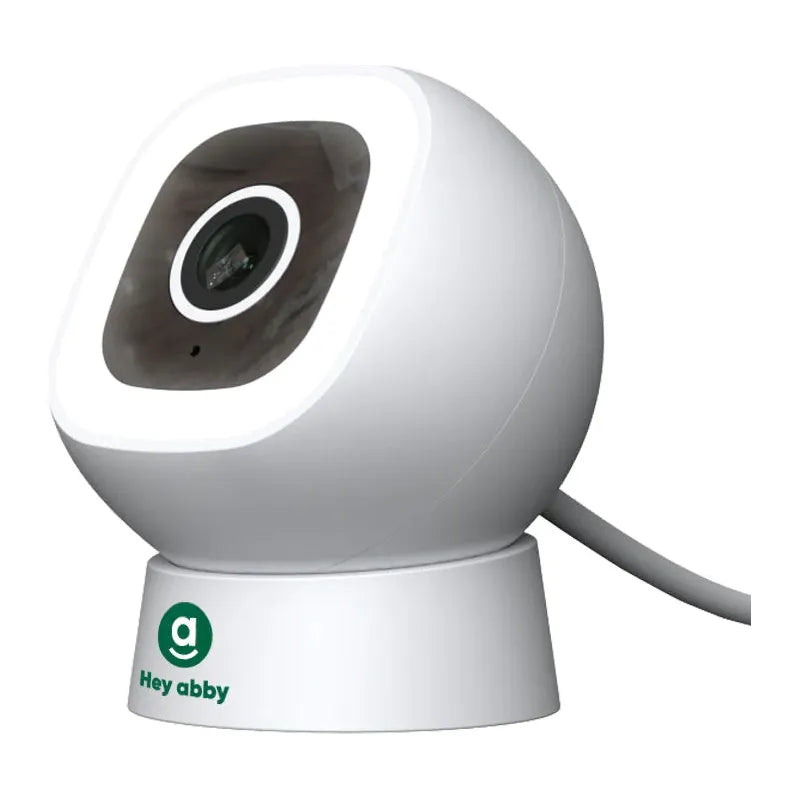 Hey abby R1 Smart Budcam Wifi Camera
