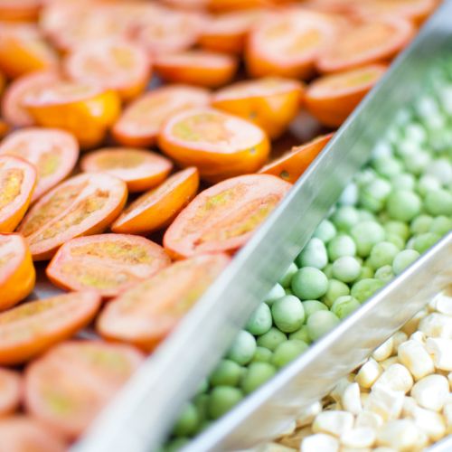Harvest Right Freeze Dryer Vegetables