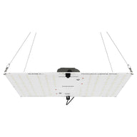 HLG 100 V2 LED Grow Light