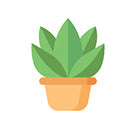Plant me