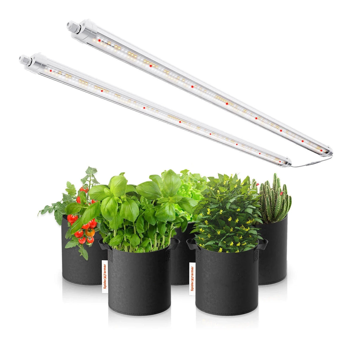 Spider Farmer Glow80 Veg Bar LED Grow Light