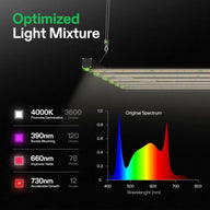 Vivosun VSFD6500 Full Spectrum LED Grow Light
