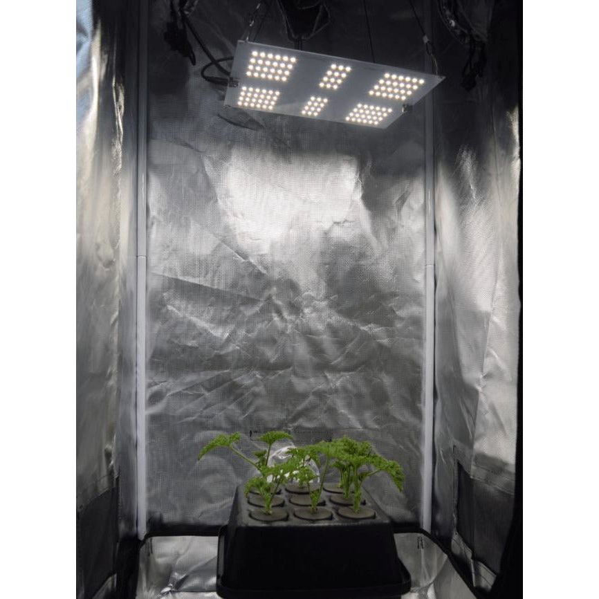 Horticulture Lighting Group HLG 65 V2 LED Grow Light setup
